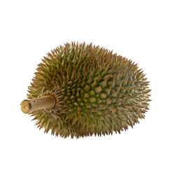 Close-up of fruit against white background