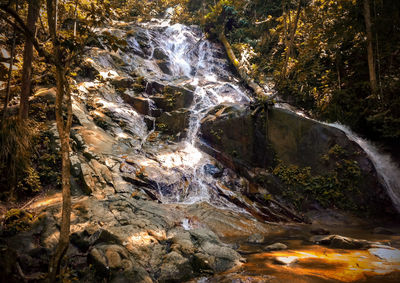 Low angle view of waterfall flowing from rocks at forest