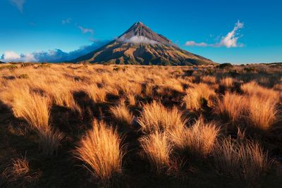 Scenic view of landscape against blue sky