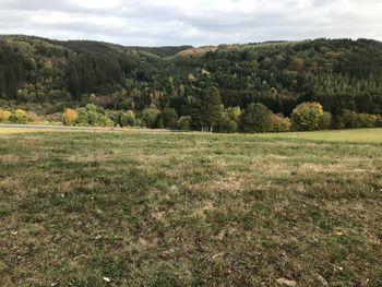 Scenic view of trees on field against sky