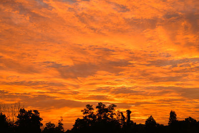 Low angle view of silhouette trees against orange sky