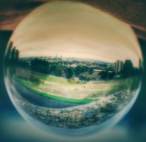 Close-up of glass against trees in city