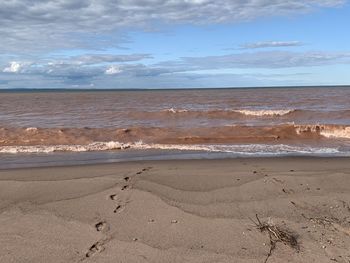 Scenic view of beach against sky
