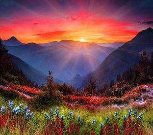 Scenic view of landscape against sky during sunset