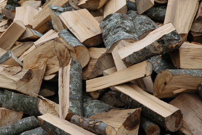 Full frame shot of logs in forest