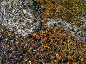 High angle view of rocks in sea