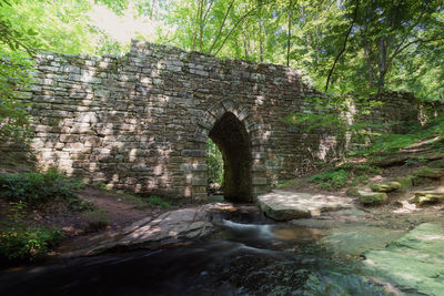 View of stone wall by trees in forest