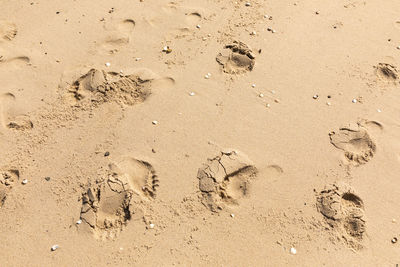 High angle view of footprints on sand