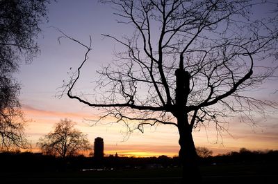 Silhouette bare tree against sky during sunset