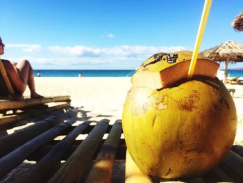 Close-up of coconut on bench against sky