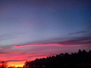 Silhouette of trees at sunset