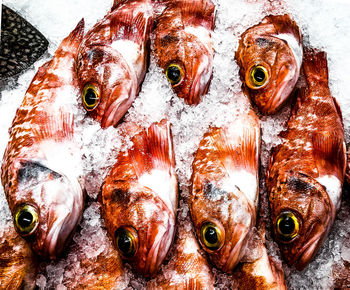 Close-up of fish for sale in market