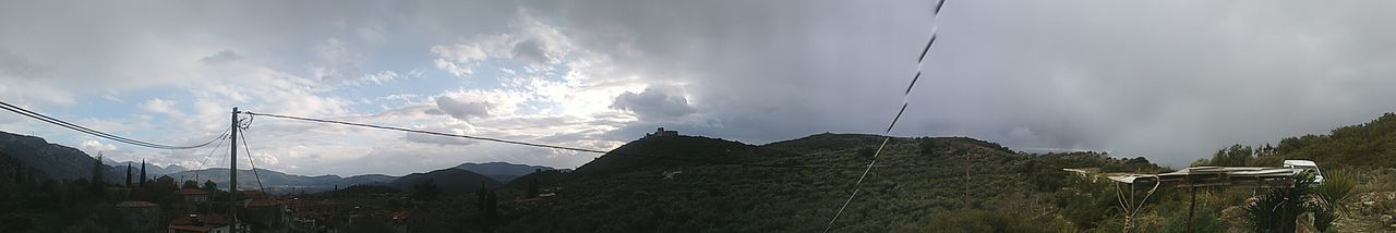 Low angle view of trees against sky