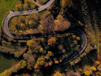 Aerial view of road amidst autumn trees during sunset