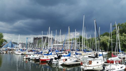 Sailboats moored in harbor against sky