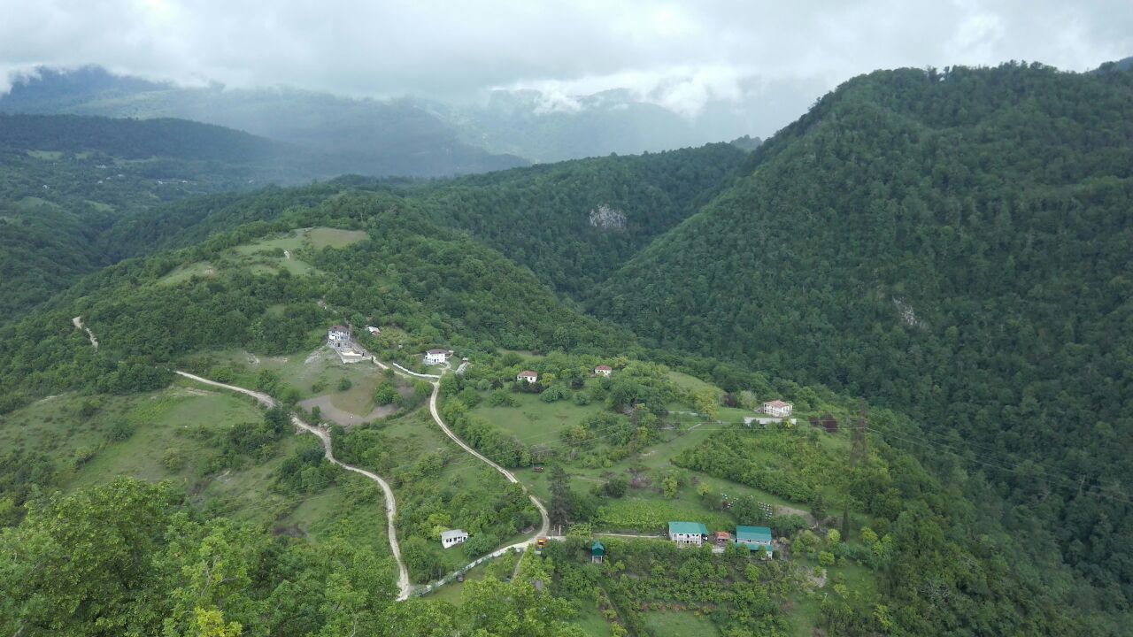 HIGH ANGLE VIEW OF RICE PADDY