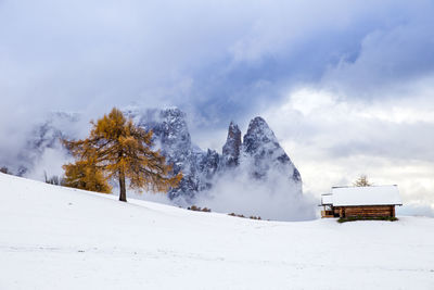 Tree on snow covered land against cloudy sky during snowfall