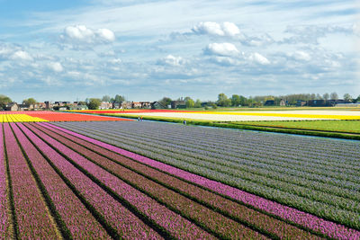Scenic view of field against cloudy sky