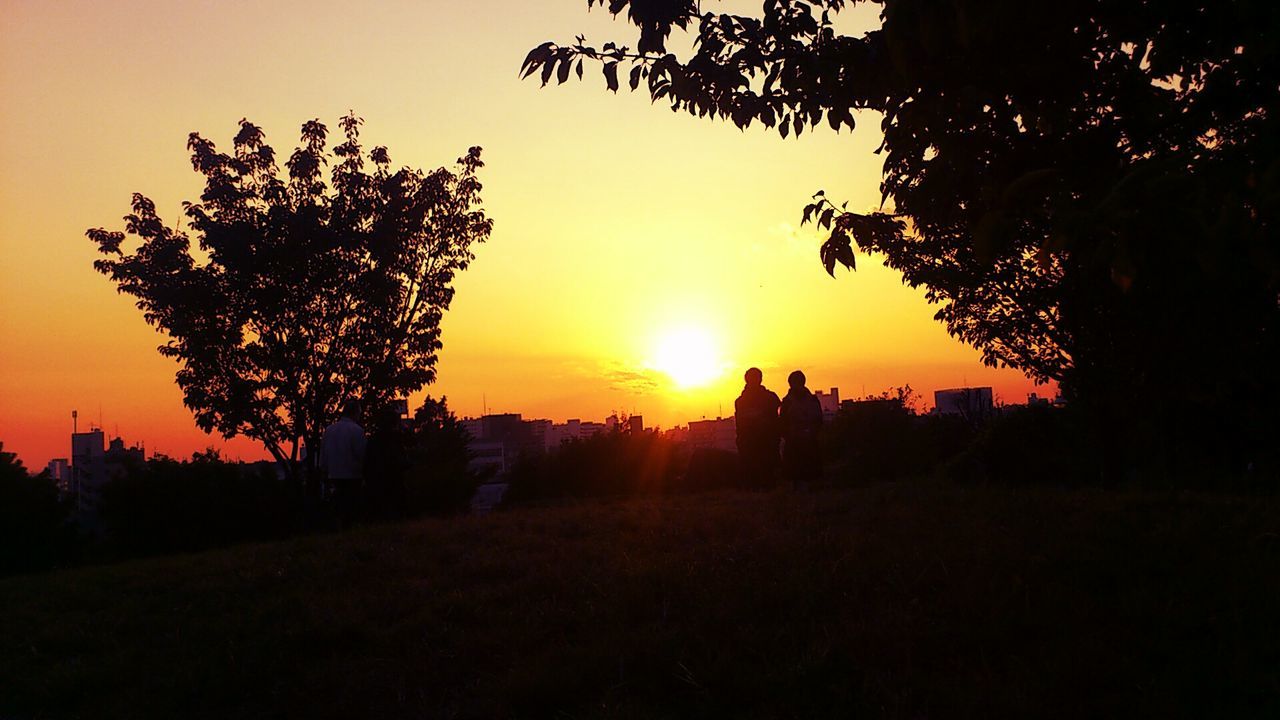 sunset, silhouette, tree, tranquil scene, tranquility, scenics, orange color, beauty in nature, landscape, sky, sun, nature, field, idyllic, sunlight, growth, no people, outdoors, dark, copy space