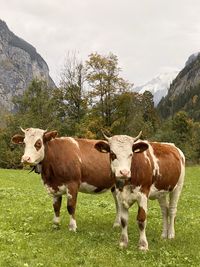 Sisters enjoying country side