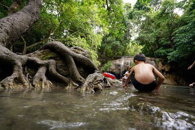 Rear view of man sitting on rock by river in forest