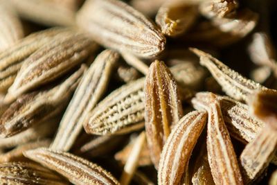 Full frame shot of cumin seeds