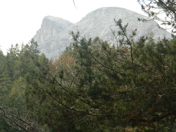 Low angle view of trees and mountains against sky