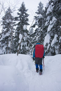 Rear view of person on snow covered land