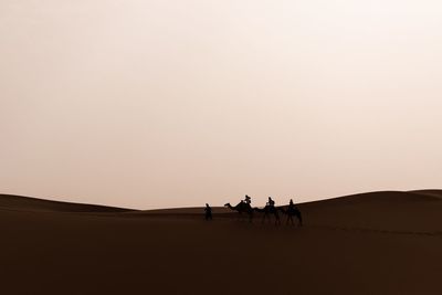 Sahara desert