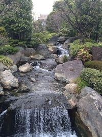 Stream flowing through rocks in forest