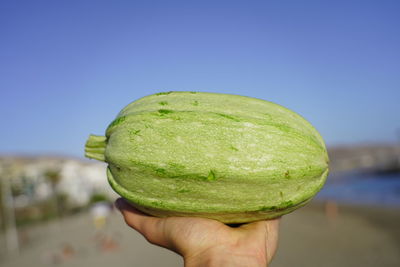 Close-up of hand holding apple against sky