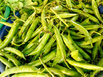 A closeup of fresh peas for sale from an indian vegetable market.