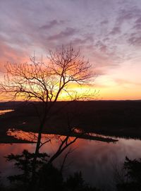 Silhouette bare tree by lake against romantic sky