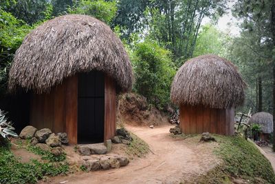 Panoramic shot of cottage by trees and plants