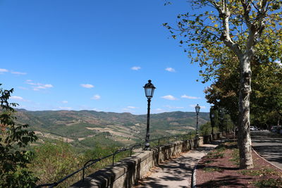 Walkway amidst trees against clear blue sky