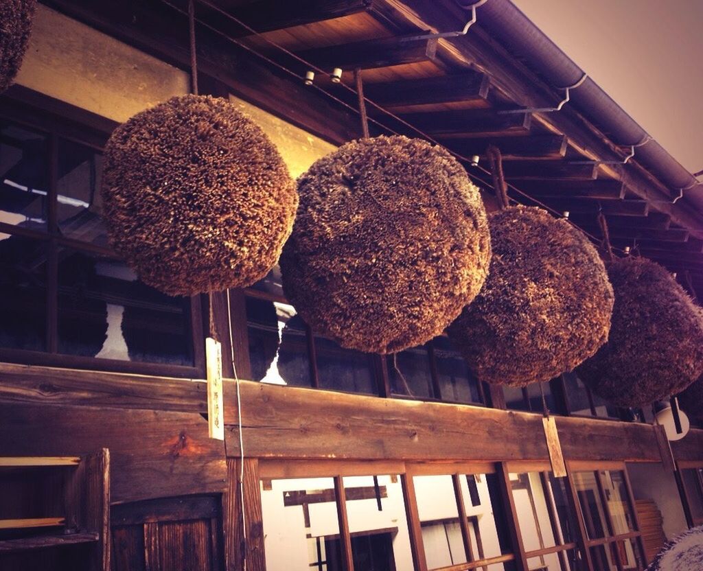 VARIOUS FRUITS HANGING ON INDOORS