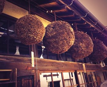 Various fruits hanging on display