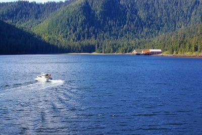 Boat sailing in lake against trees