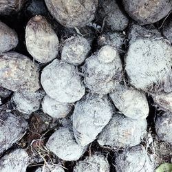 Full frame of stones