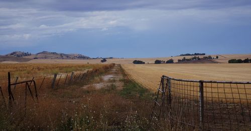 Scenic view of field against sky