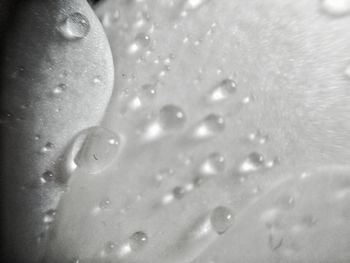 Close-up of water drops on leaf