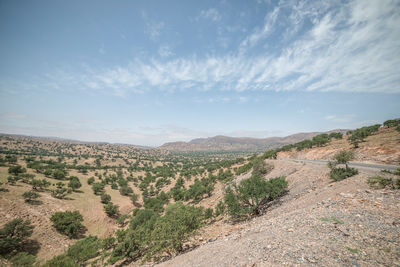 Scenic view of landscape against sky