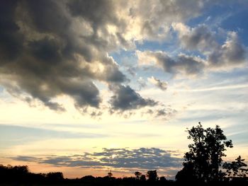 Low angle view of silhouette trees against sky during sunset