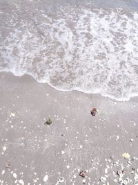 High angle view of pebble on beach