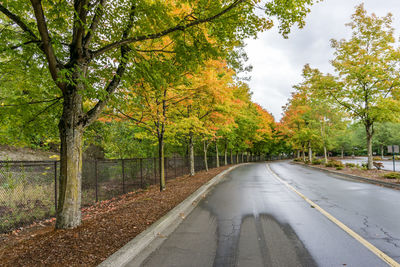 Wet road amidst trees against sky