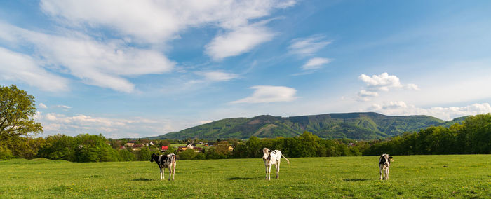 People on field by mountain against sky