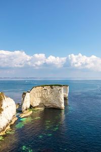 Old harry rocks near studland in dorset. english tourist attraction. white cliffs in sunny day