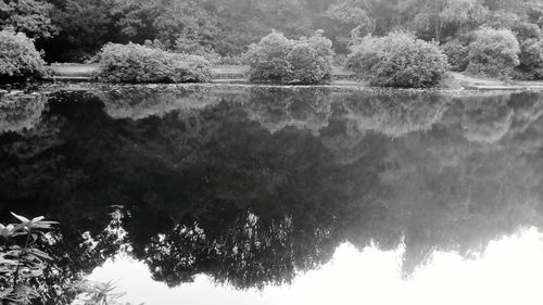 Reflection of trees in lake against sky