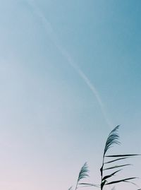 Low angle view of vapor trail against sky