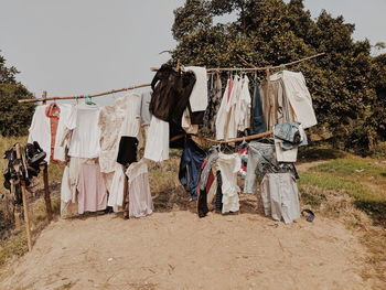 Clothes drying against trees